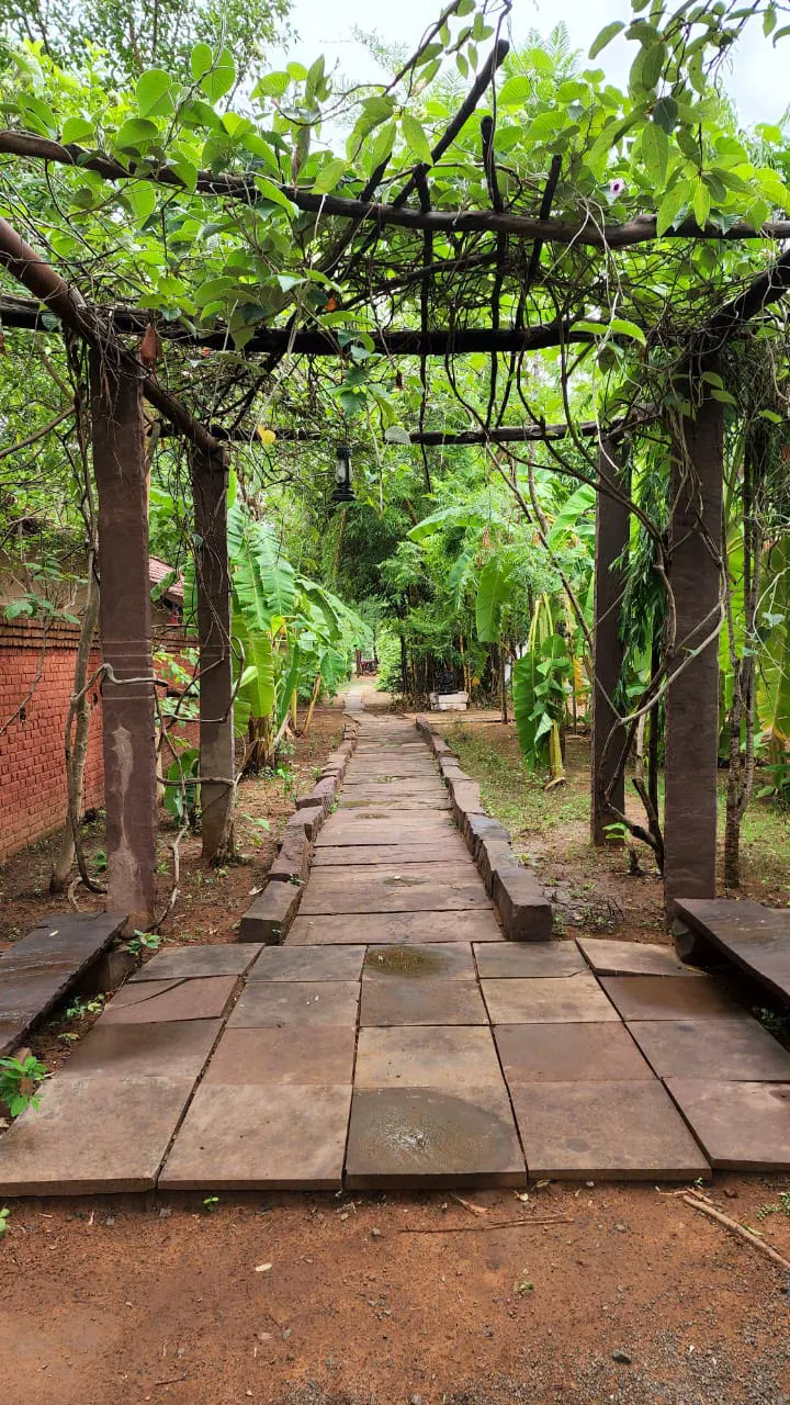 Monsoon Forest Bandhavgarh